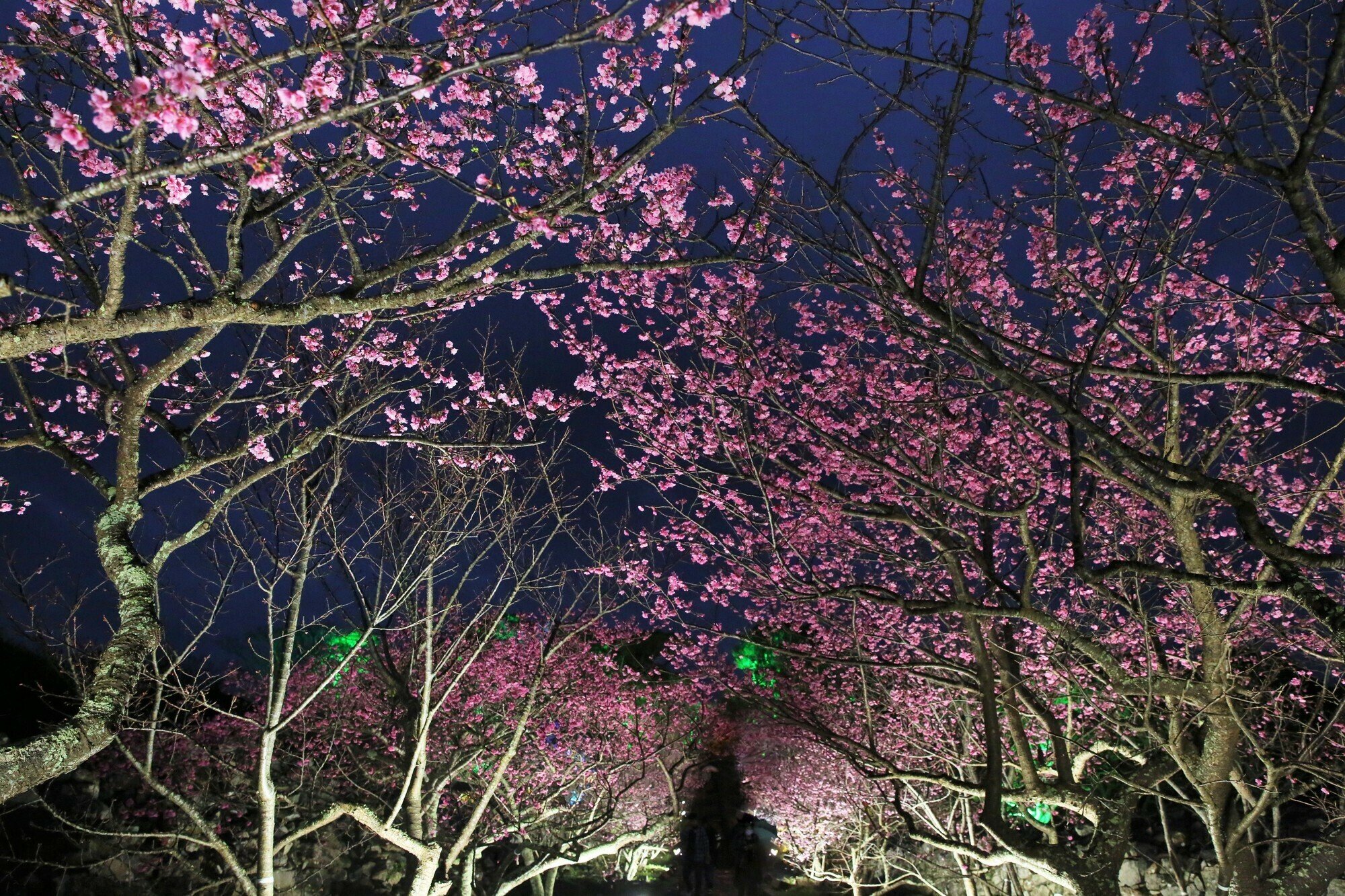 🎨 도야마현 수묵미술관(도야마켄스이보쿠비주쓰칸) 이미지 9